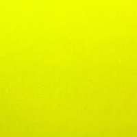 WILLIAM NEON BIO NEON SARI