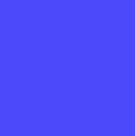 WILLIAM NEON BIO NEON LACİVERT